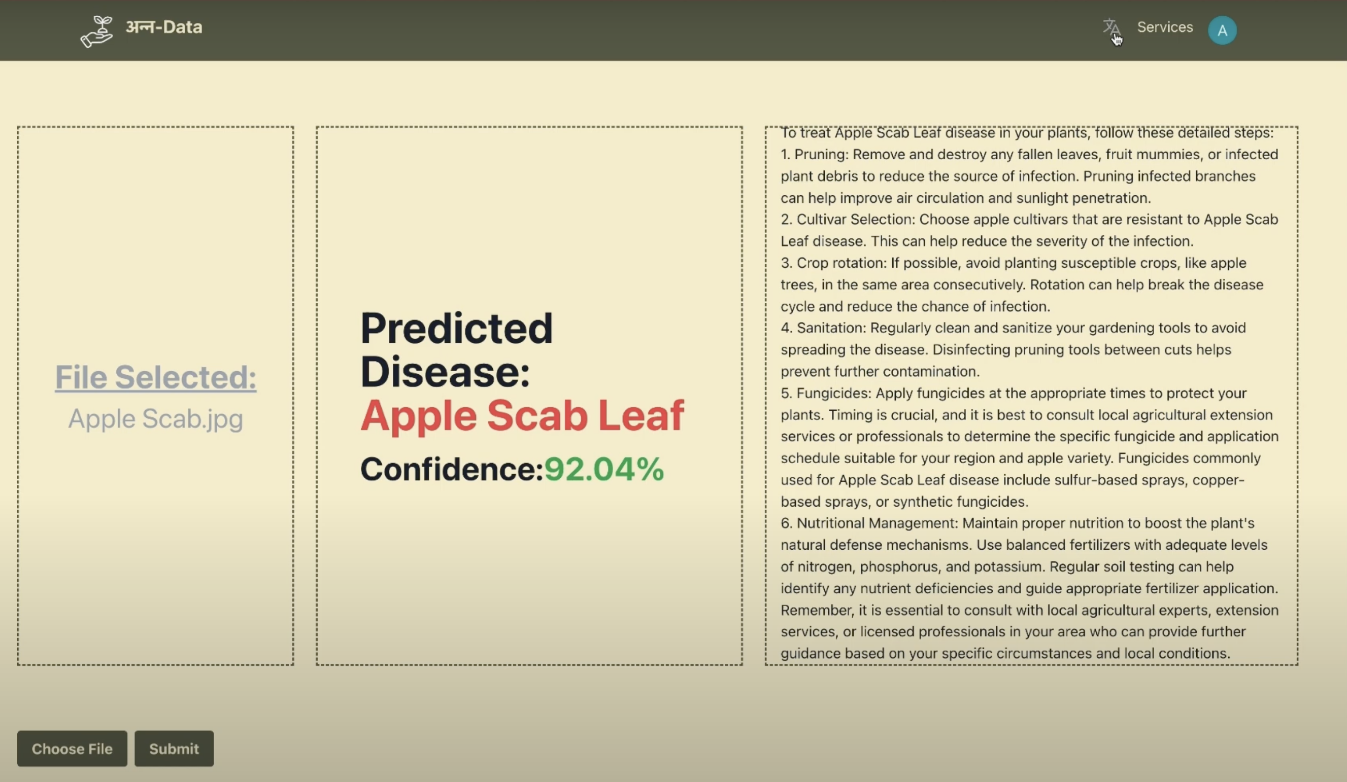 Disease Detection with YOLOv8